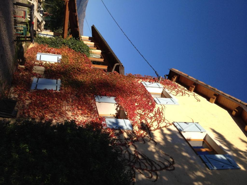 Le Mas Shabanou Bed and Breakfast Roquefort-les-Pins Εξωτερικό φωτογραφία