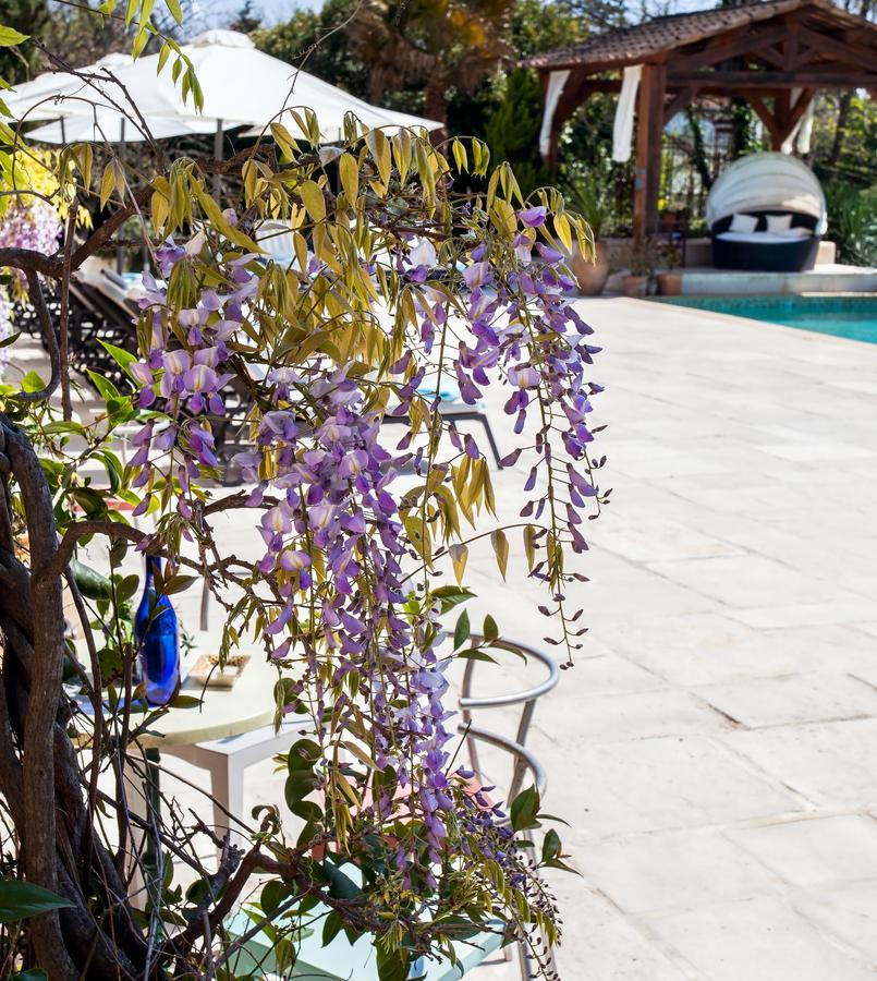 Le Mas Shabanou Bed and Breakfast Roquefort-les-Pins Εξωτερικό φωτογραφία